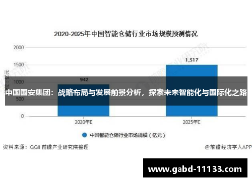 中国国安集团：战略布局与发展前景分析，探索未来智能化与国际化之路