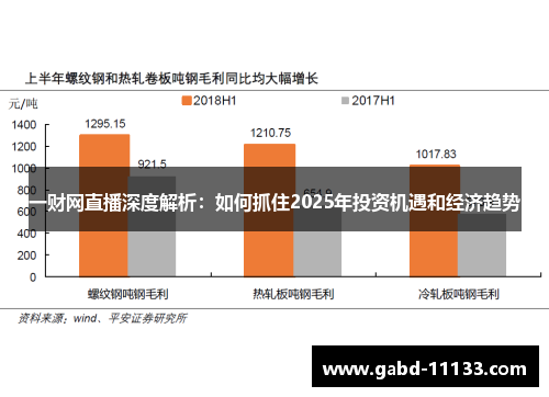 一财网直播深度解析：如何抓住2025年投资机遇和经济趋势